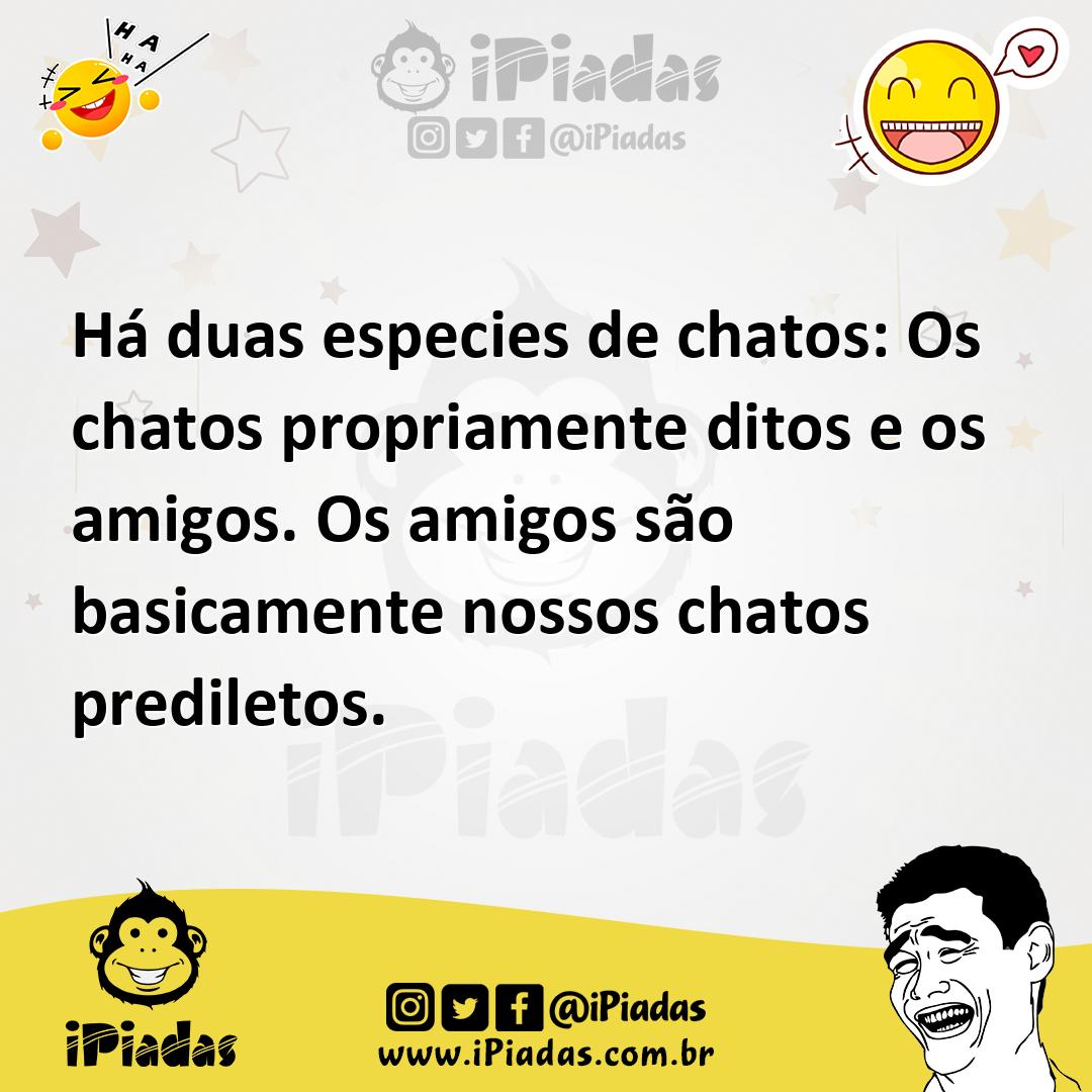 H Duas Especies De Chatos Os Chatos Propriamente Ditos E Os Amigos