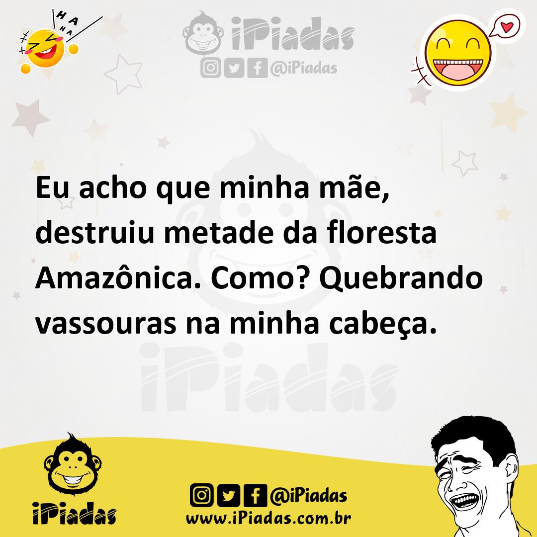 eu-acho-que-minha-m-e-destruiu-metade-da-floresta-amaz-nica-como-quebrando-vassouras-na-minha