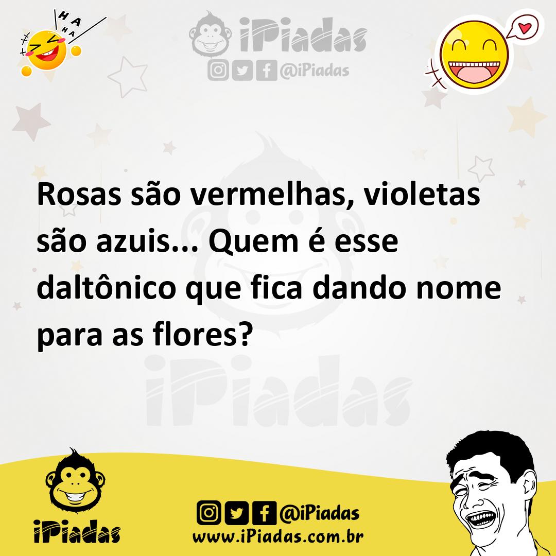 Rosas São Vermelhas Violetas São Azuis Quem é Esse Daltônico Que Fica Dando Nome Para As Flores 7338